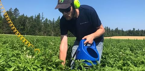 Andrew McKenzie-Gopsill is experimenting with using a sandblaster to help manage weeds.