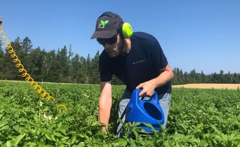 Andrew McKenzie-Gopsill is experimenting with using a sandblaster to help manage weeds. Andrew McKenzie-Gopsill is experimenting with using a sandblaster to help manage weeds.