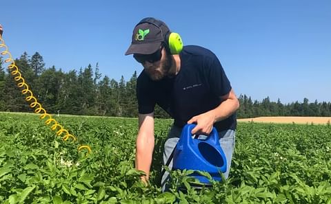 Andrew McKenzie-Gopsill is experimenting with using a sandblaster to help manage weeds.