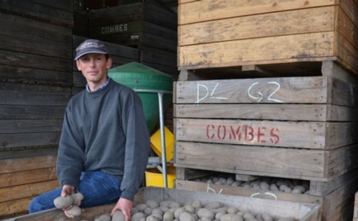 Andrew Combes Andrew Combes