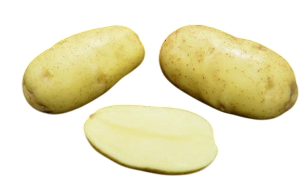 ANISSA