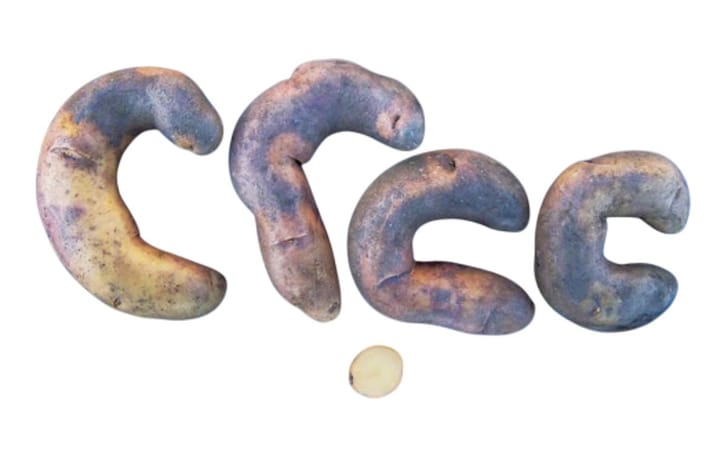 ANKAPA SILLUN ANKAPA SILLUN