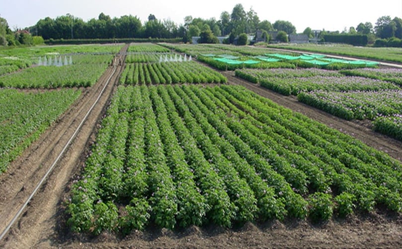Two-day virtual conference for the potato industry. Presentations of scientific and commercial information papers, plus workshops. Two-day virtual conference for the potato industry. Presentations of scientific and commercial information papers, plus workshops.