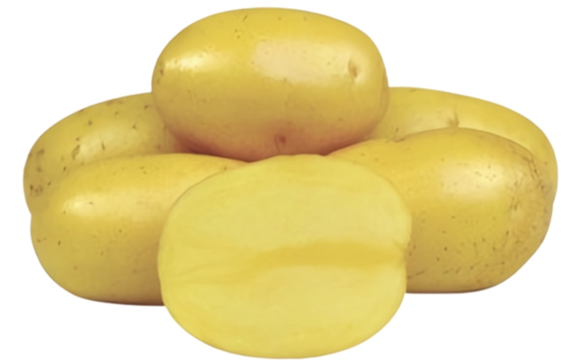 ANUSCHKA ANUSCHKA