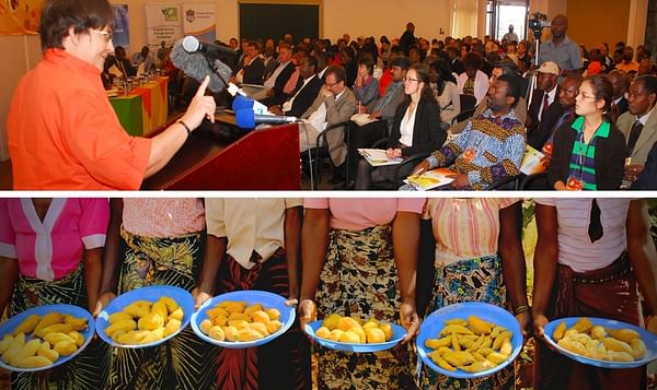 African Potato Congress in Addis Ababa, Ethiopia features a roundtable for the private sector 