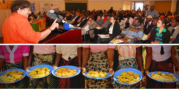 African Potato Congress in Addis Ababa, Ethiopia features a roundtable for the private sector 