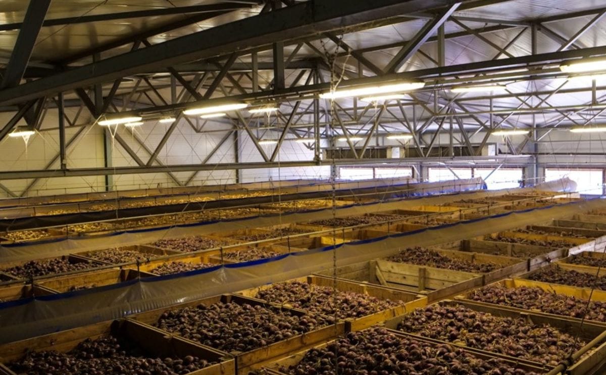 APH Group customised cooling solutions