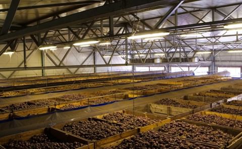 APH Group customised cooling solutions APH Group customised cooling solutions