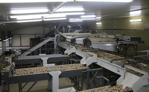 APH Group exports potato packing line to Belarus APH Group exports potato packing line to Belarus