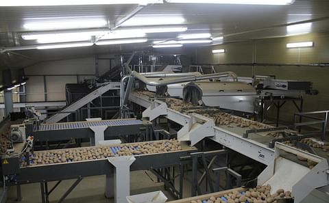 APH Group exports potato packing line to Belarus APH Group exports potato packing line to Belarus