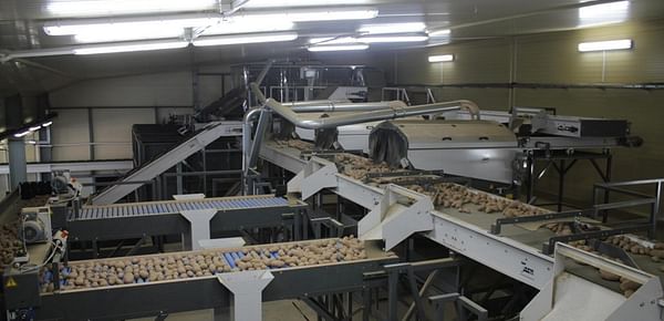 APH Group exports potato packing line to Belarus