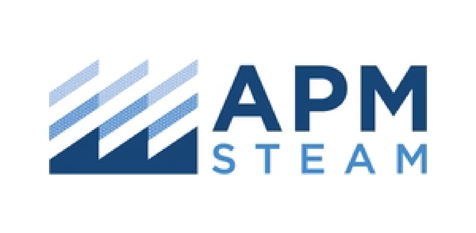 American Plant Maintenance (APM Steam)