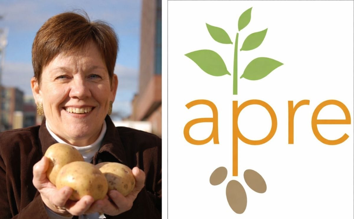 Only 3% of calories in US diet come from potatoes and french fries Only 3% of calories in US diet come from potatoes and french fries