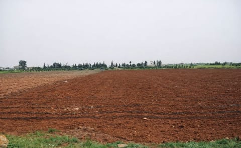 Cómo analizar el comportamiento de un cultivo y diseñar estrategias de adaptación frente a escenarios de variabilidad y cambio climático Cómo analizar el comportamiento de un cultivo y diseñar estrategias de adaptación frente a escenarios de variabilidad y cambio climático