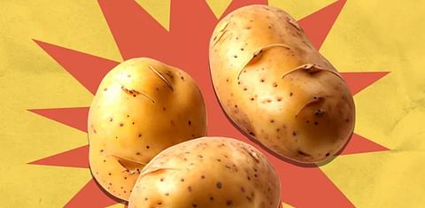 There’s a New Type of Potato in Stores That’s So Creamy You Don’t Even Need Butter