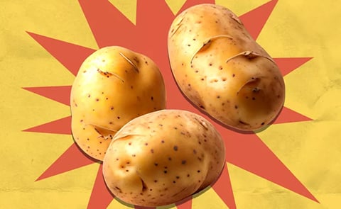 There’s a New Type of Potato in Stores That’s So Creamy You Don’t Even Need Butter There’s a New Type of Potato in Stores That’s So Creamy You Don’t Even Need Butter