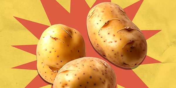 There’s a New Type of Potato in Stores That’s So Creamy You Don’t Even Need Butter