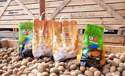 Comienza en Araba la recogida de la patata de calidad Comienza en Araba la recogida de la patata de calidad