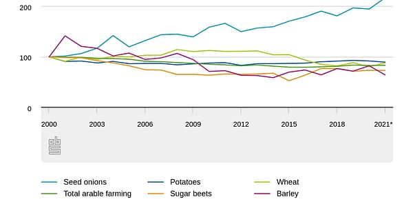 Potato cultivation in the Netherlands in 2021: Less acreage overall, but more for seed and starch potatoes