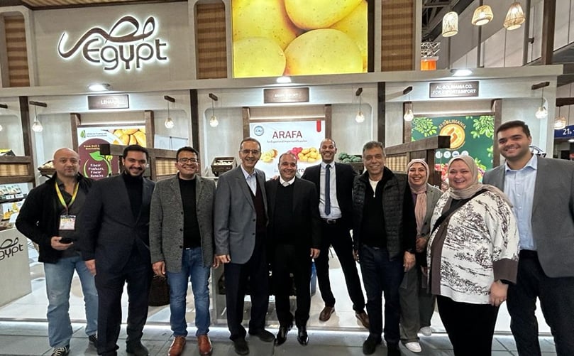 Arafa Company: Spearheading Egypt's Potato Export Triumph Through Adversity