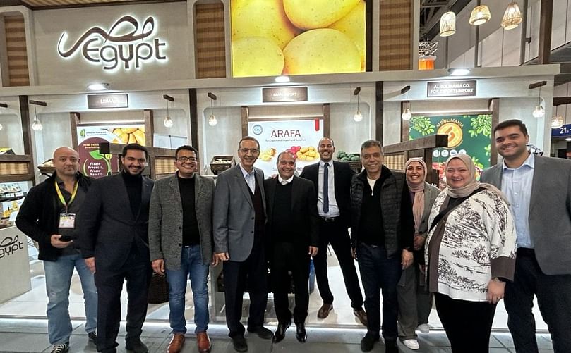 Arafa Company: Spearheading Egypt's Potato Export Triumph Through Adversity