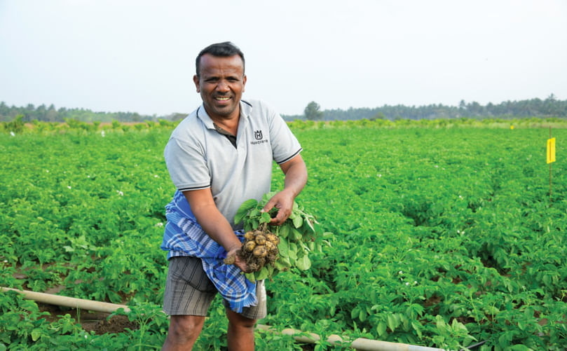 Sustainable harvesting of potatoes