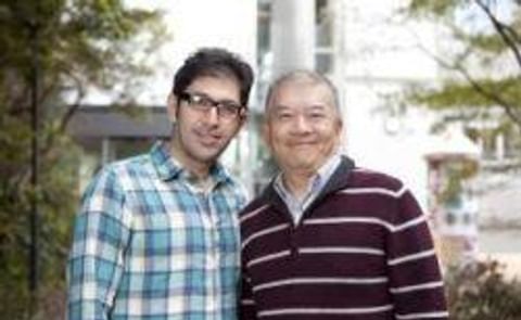 Investigan la posibilidad de producir papas libres de cadmio Investigan la posibilidad de producir papas libres de cadmio