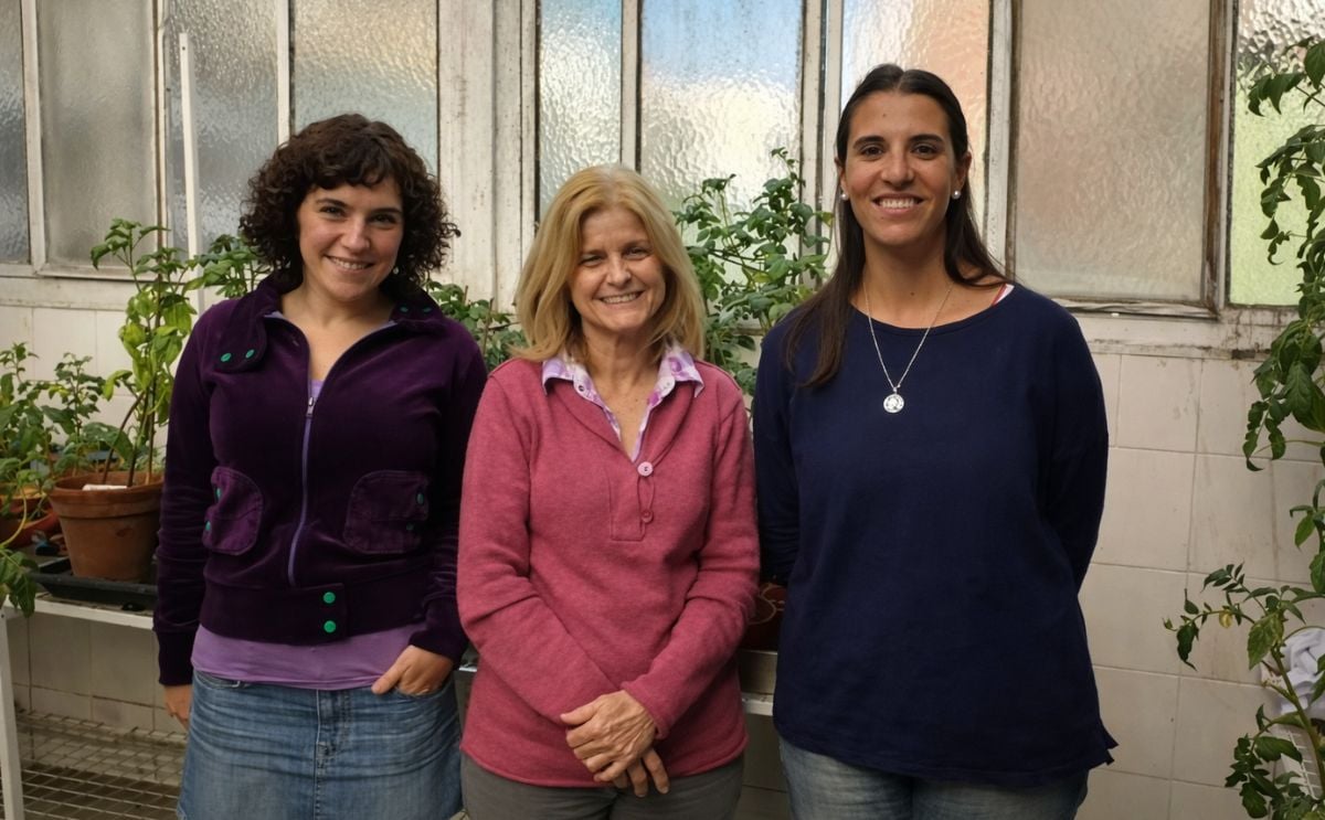 Argentina: Investigadores identifican mecanismo de defensa del cultivo de papa Argentina: Investigadores identifican mecanismo de defensa del cultivo de papa