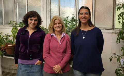 Las doctoras María Eugenia Segretin, Rita M. Ulloa y Elisa I. Fantino en el invernadero del Instituto de Investigaciones en Ingeniería Genética y Biología Molecular (INGEBI). Las doctoras María Eugenia Segretin, Rita M. Ulloa y Elisa I. Fantino en el invernadero del Instituto de Investigaciones en Ingeniería Genética y Biología Molecular (INGEBI).