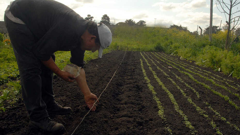 Entre las iniciativas, se abordará la formalización de la agricultura familiar, se pondrán en marcha líneas de financiamiento dirigidas al sector y se impulsará un sistema de comercialización adecuado.