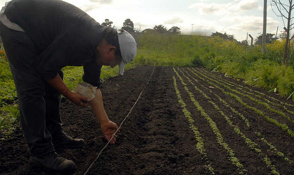 Argentina: Lanzan un plan para aumentar la producción y el consumo de hortalizas