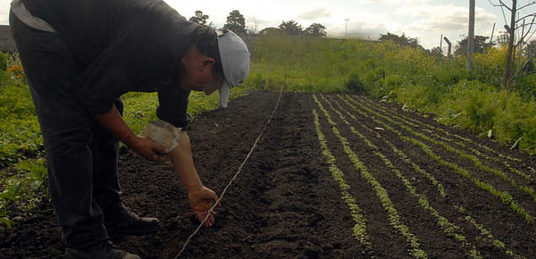 Argentina: Lanzan un plan para aumentar la producción y el consumo de hortalizas
