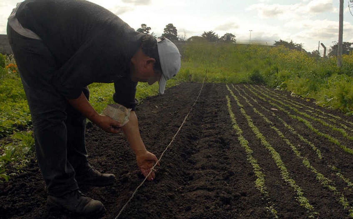 Entre las iniciativas, se abordará la formalización de la agricultura familiar, se pondrán en marcha líneas de financiamiento dirigidas al sector y se impulsará un sistema de comercialización adecuado.