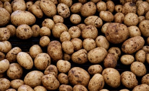 Foto: Meg Roussos/Bloomberg Foto: Meg Roussos/Bloomberg