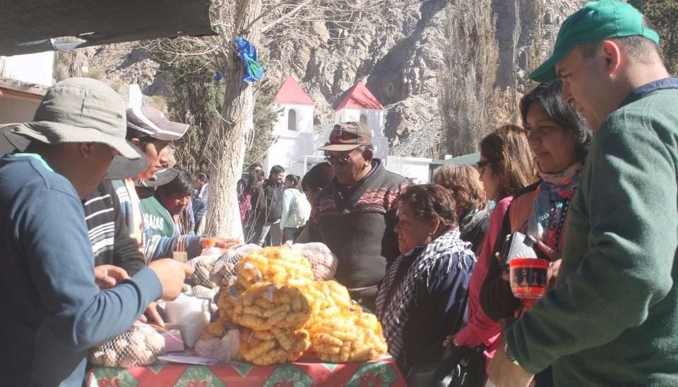 Argentina: Más de 5 mil personas asistieron a la Fiesta de la Papa Andina en Salta