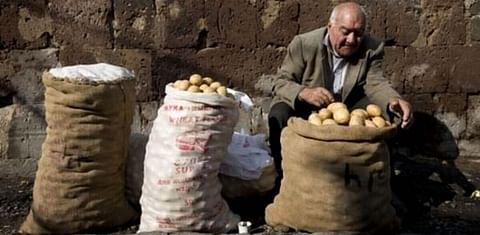 A man sells potatoes in the street outside the central market in Yerevan, Armenia. Courtesy: FAO/Johan Spanner