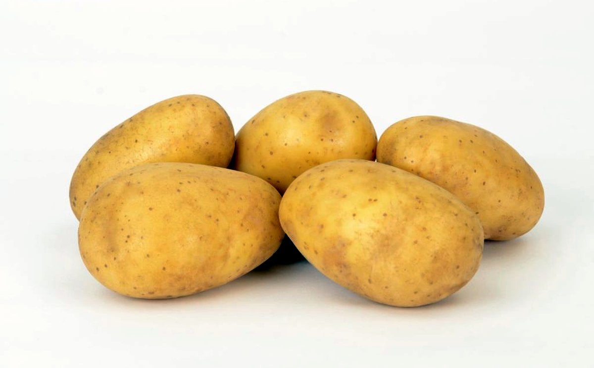 Aromata