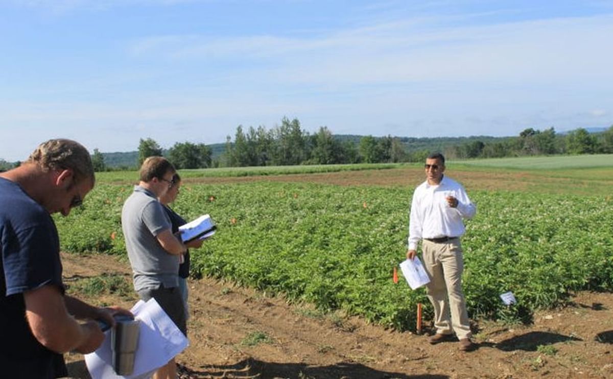 Lakesh Sharma, assistant professor with the University of Maine Cooperative Extension and University of Maine Presque Isle, talks about trials using beneficial mycorrhizae fungi in potatoes at the Aroostook Research Farm in Presque Isle on August 8.
(Cou