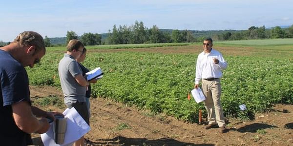 Range of potato experiments underway at Maine Research Farm (Aroostook)