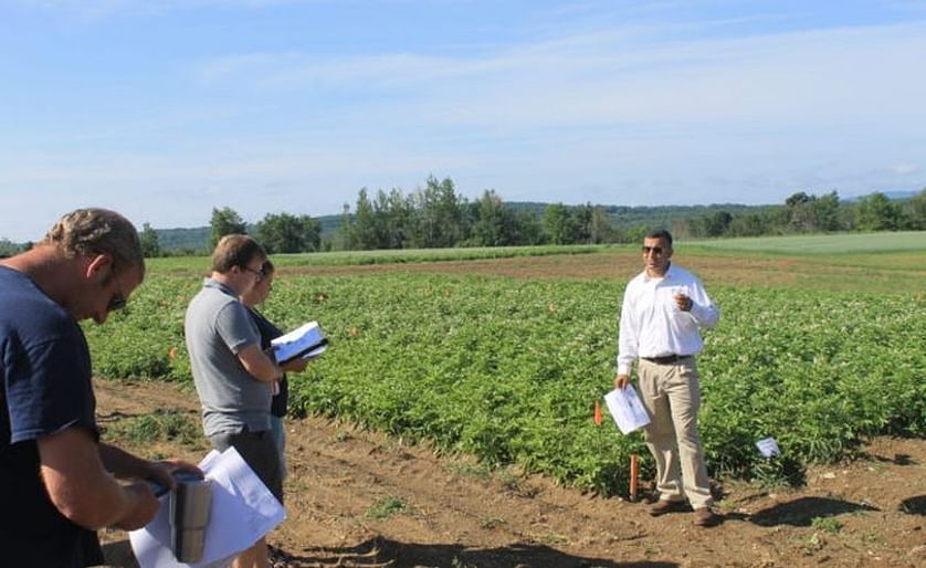 Lakesh Sharma, assistant professor with the University of Maine Cooperative Extension and University of Maine Presque Isle, talks about trials using beneficial mycorrhizae fungi in potatoes at the Aroostook Research Farm in Presque Isle on August 8.
(Cou