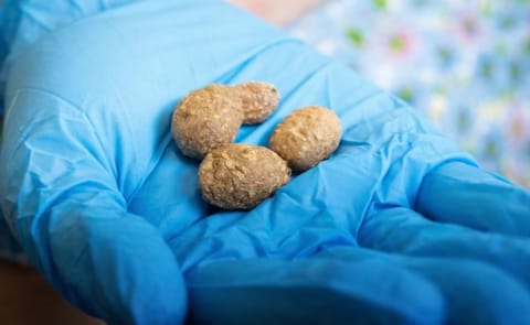 Papas silvestres - Universidad de Utah Papas silvestres - Universidad de Utah