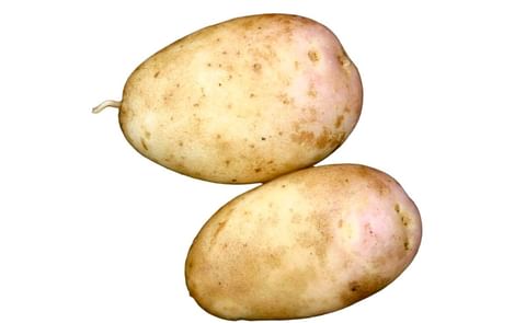 ARRAN BANNER ARRAN BANNER