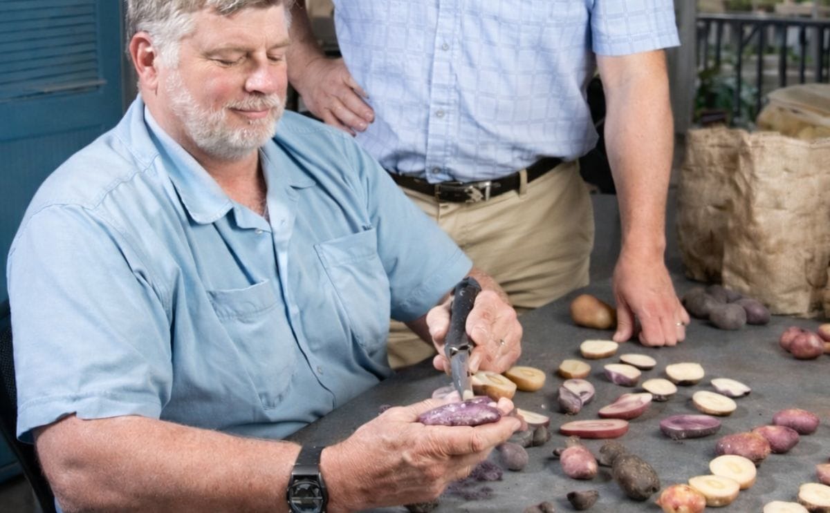 Potatoes Chock Full of Phytochemicals Potatoes Chock Full of Phytochemicals