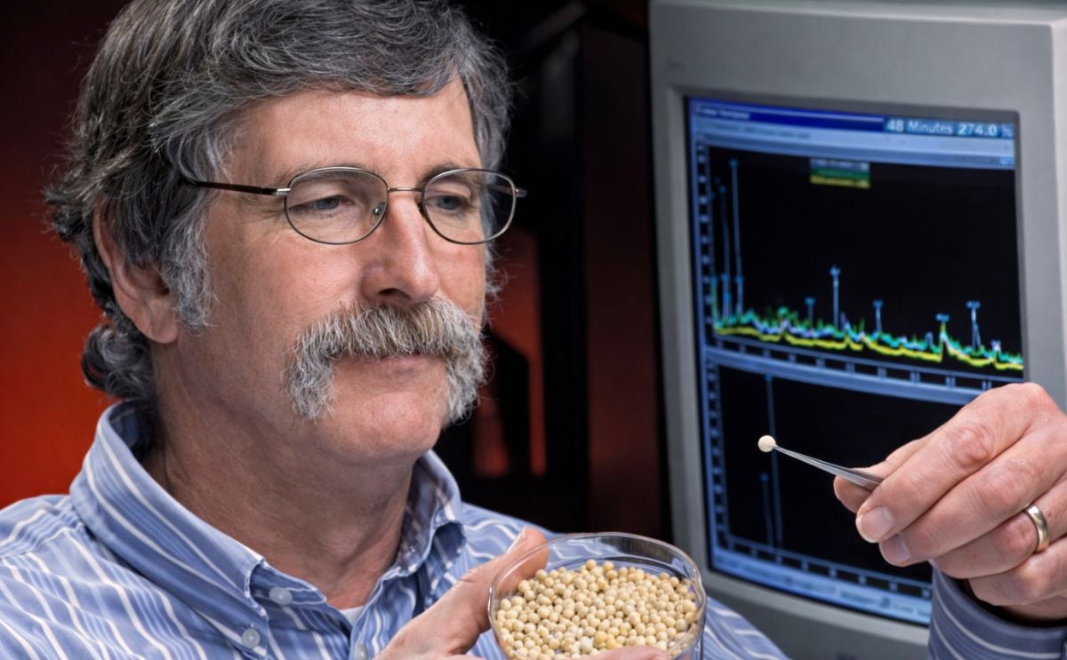 ARS Potato Research: inspecting microtubers ARS Potato Research: inspecting microtubers