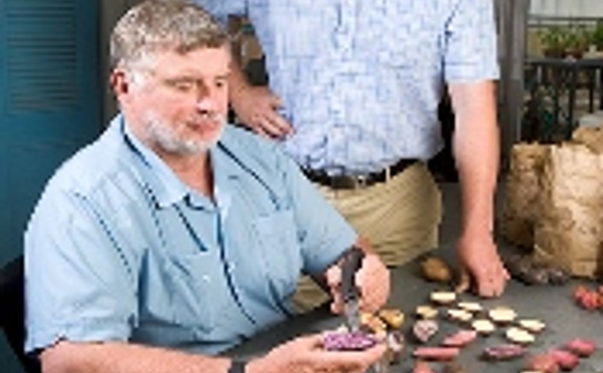 Potatoes Chock Full of Phytochemicals Potatoes Chock Full of Phytochemicals