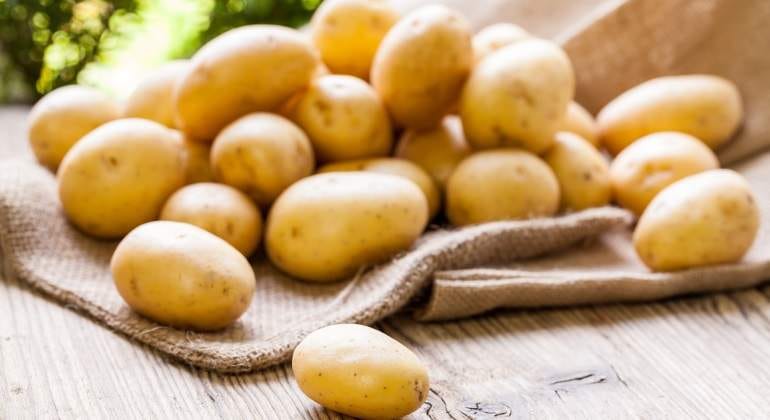 Así operaba en cartel de la papa en los Estados Unidos