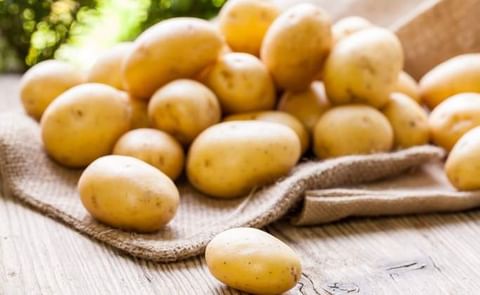 Así operaba en cartel de la papa en los Estados Unidos Así operaba en cartel de la papa en los Estados Unidos