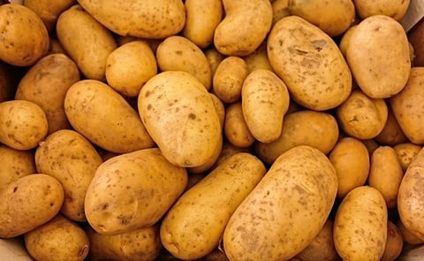 Asaja-León pide a los almacenistas de patatas que estabilicen los precios. Asaja-León pide a los almacenistas de patatas que estabilicen los precios.