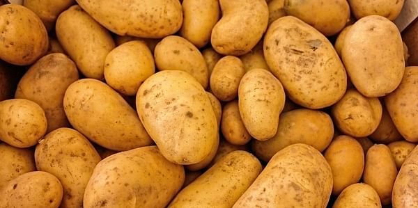 Asaja-León pide a los almacenistas de patatas que estabilicen los precios