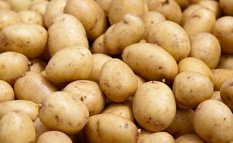 Asaja León acusa a los almacenistas de forzar precios a la baja Asaja León acusa a los almacenistas de forzar precios a la baja